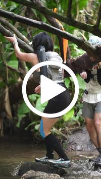 BIB:  <button type="button" onclick="openModal(27587714)" class="btn btn-primary btn-sm float-right" data-toggle="modal" data-target=".modal-high-quality">
                <i class="fa fa-download"></i> Download
                </button>